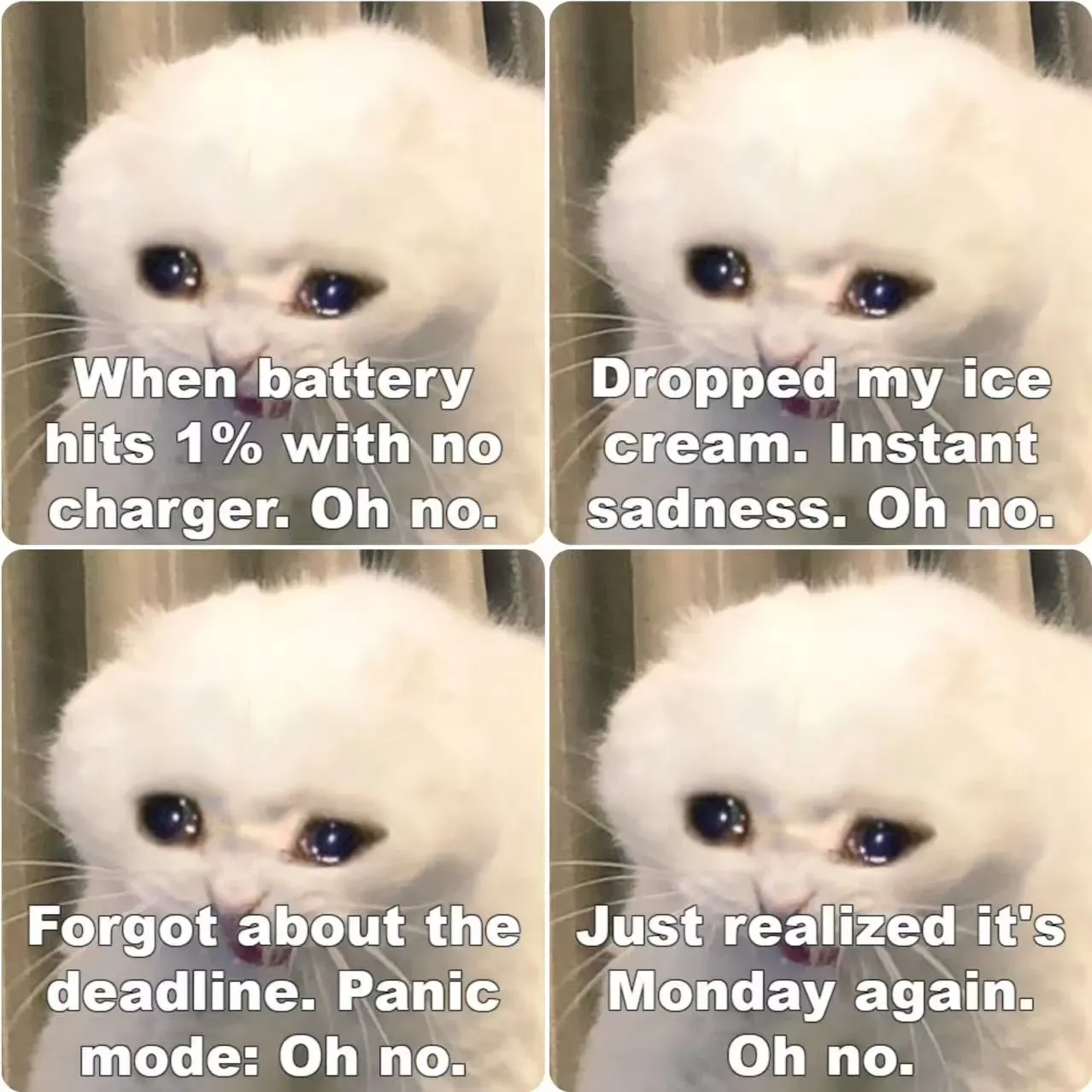 Show Off Your Customized Meme in Social Media and Daily Chats