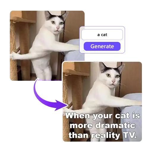 Meme Placeholder