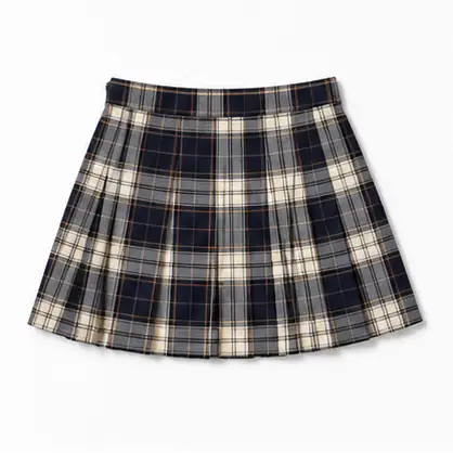 Pleated Skirt