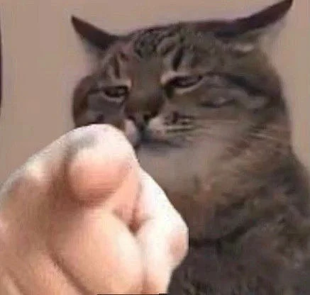 Meme Template