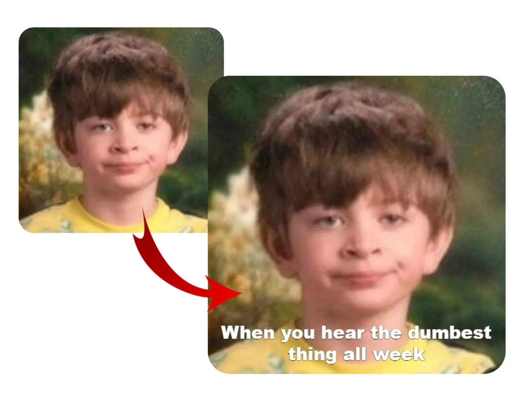 Easily Make Viral Memes from 20+ Trending Templates