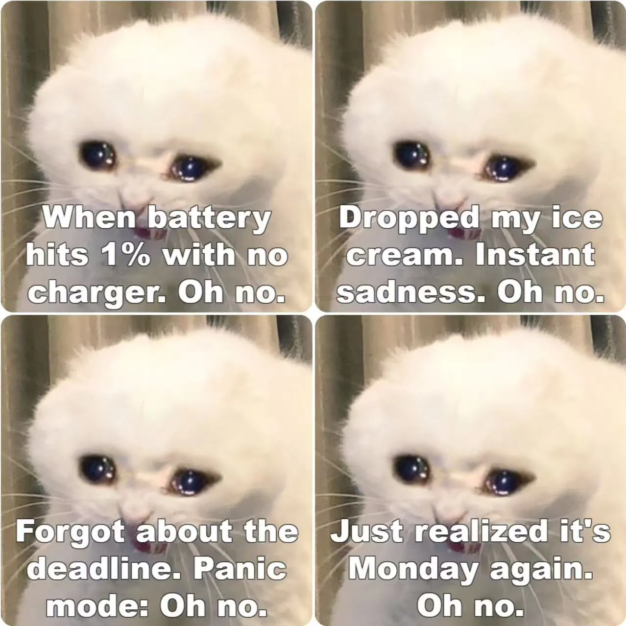 Show Off Your Customized Meme in Social Media and Daily Chats