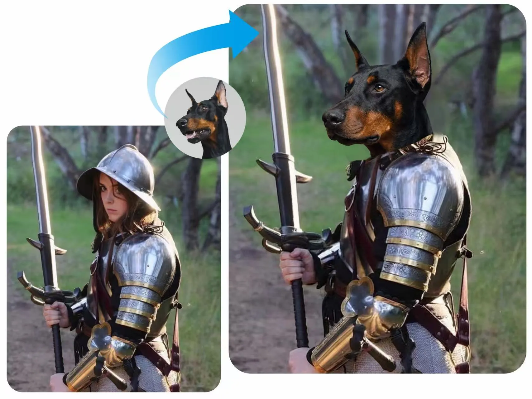 Put Human Face on Any Animal You Like